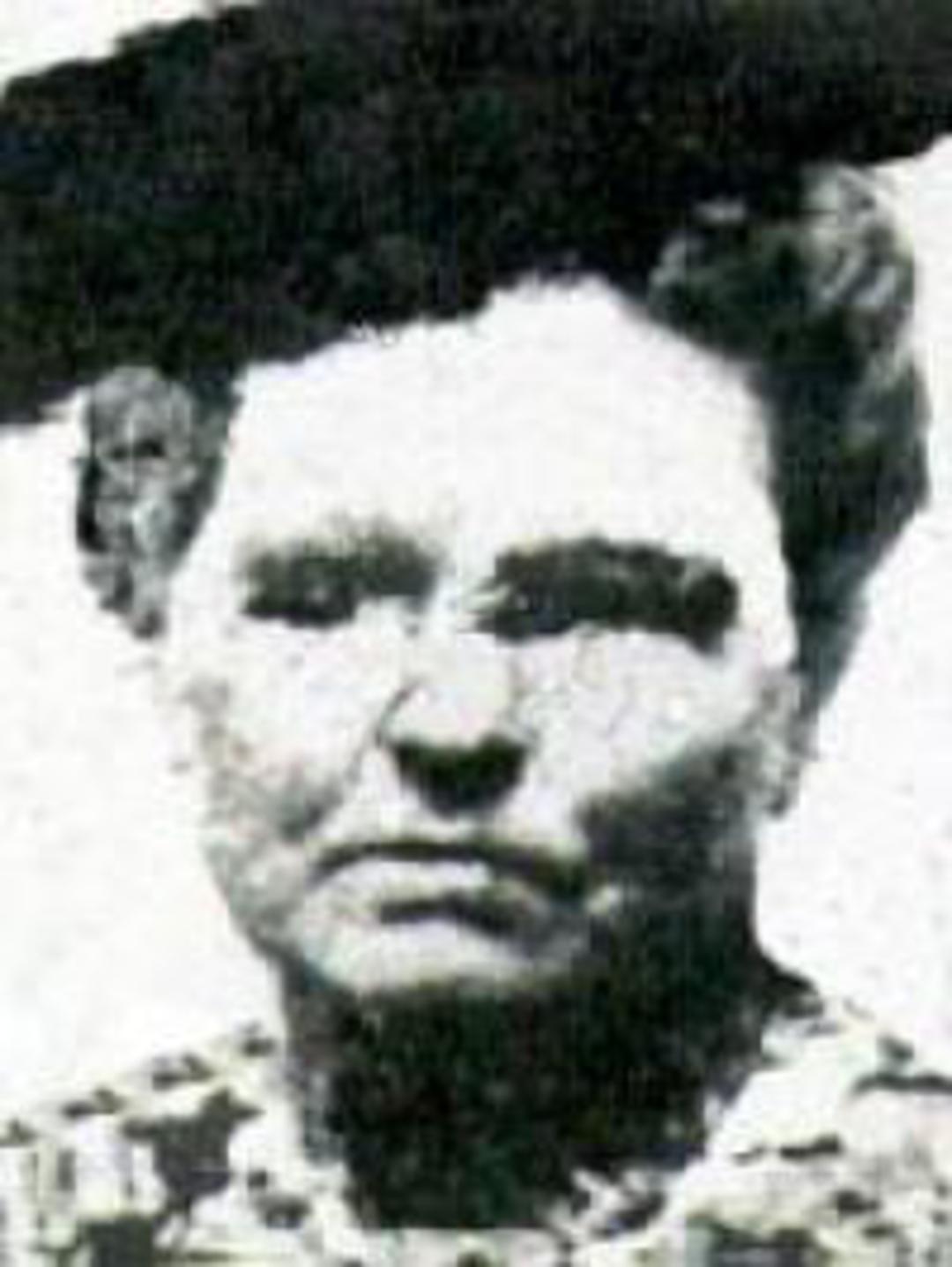 Sarah Ann Whitney (1817 - 1877) Profile